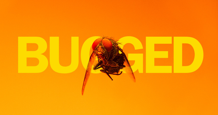 Bugged
