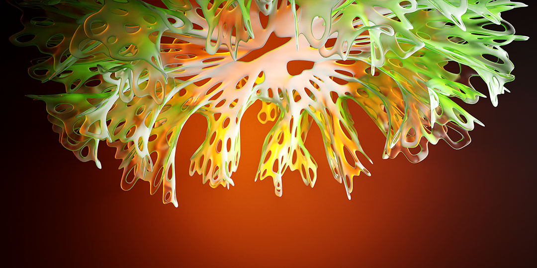 Differential Growth