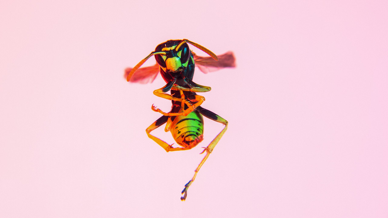 Bugged #01