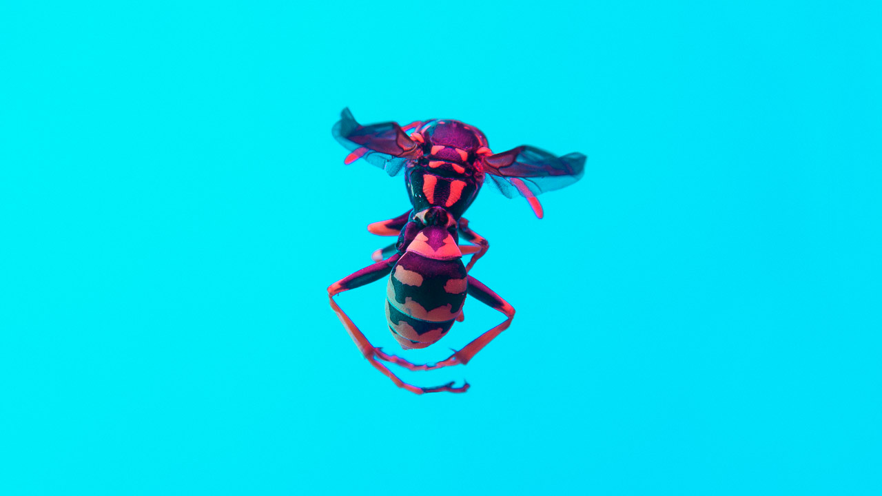 Bugged #03