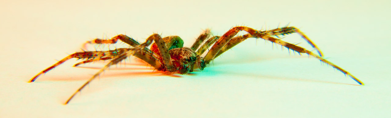 Bugged #23